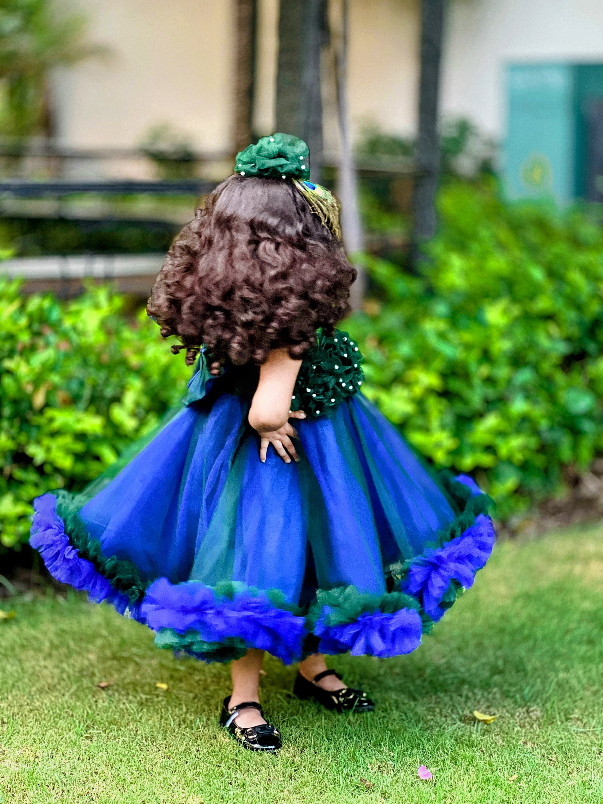 Peacock 🦚 2