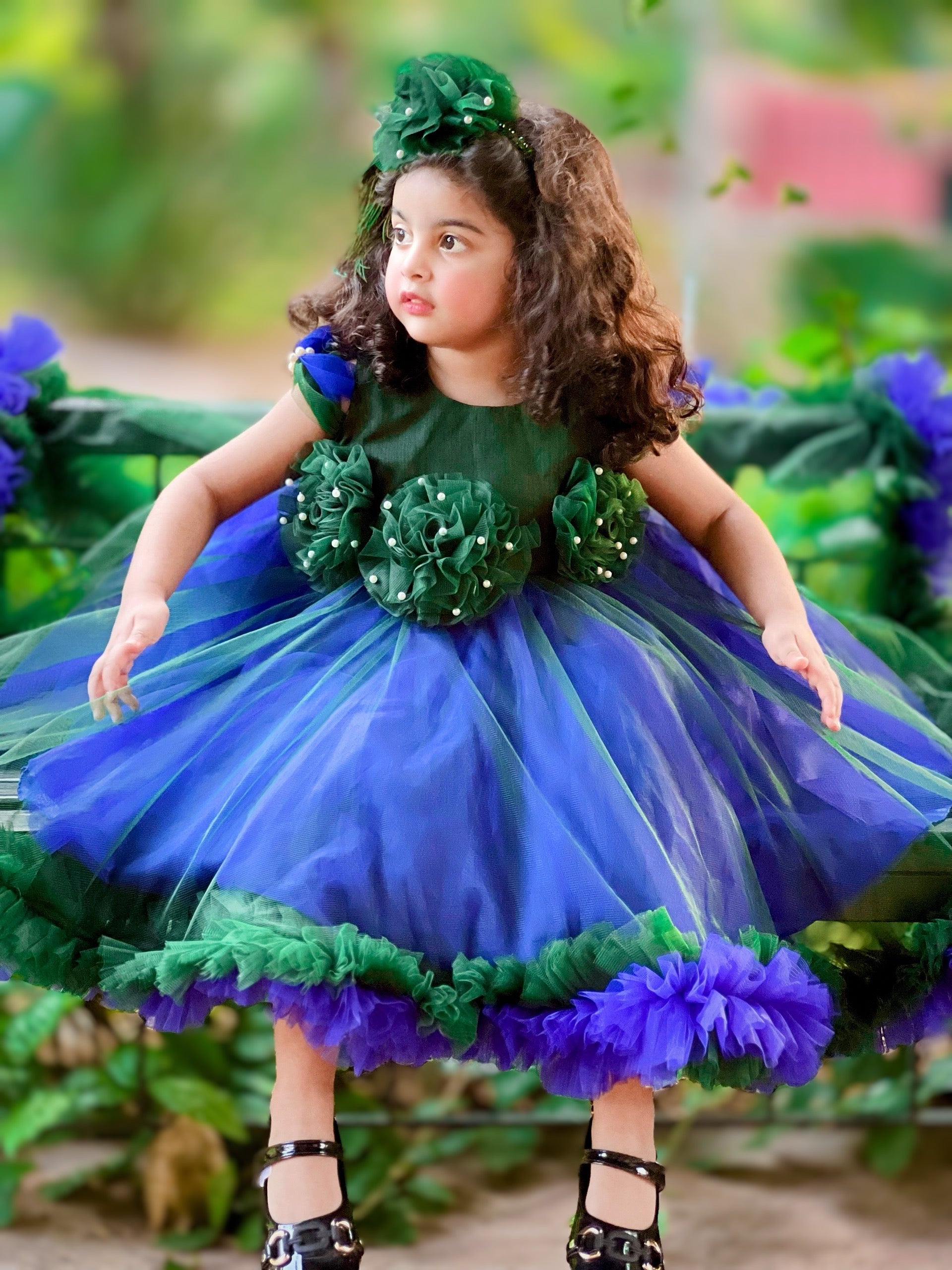 Peacock 🦚 2