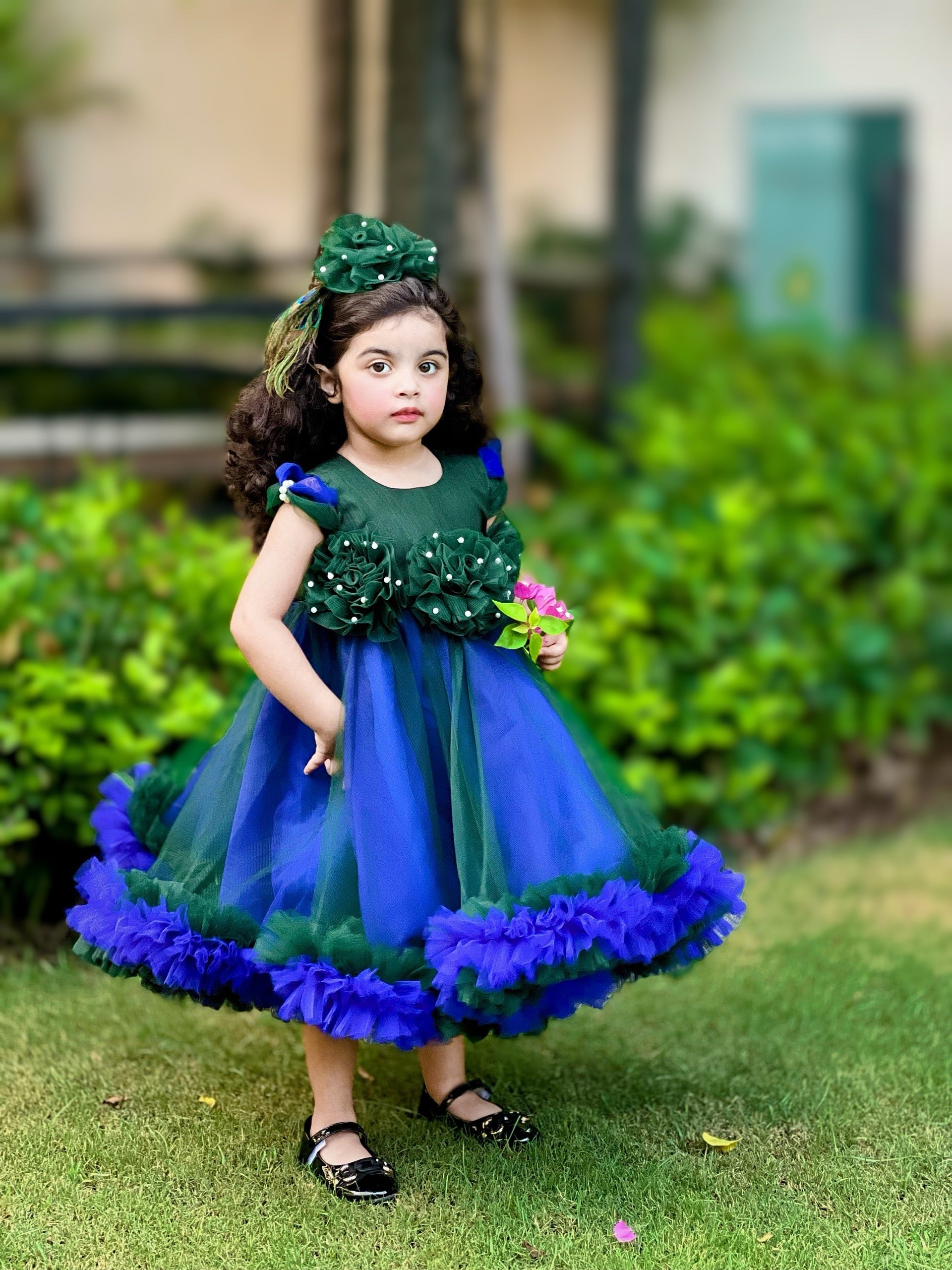 Peacock 🦚 2