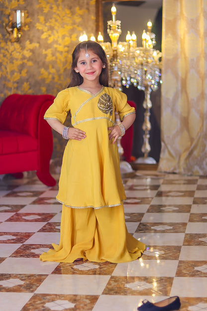 Zarish 2