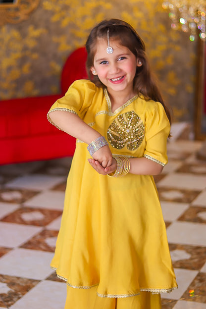 Zarish 2