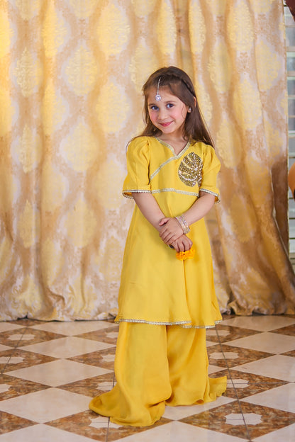 Zarish 2