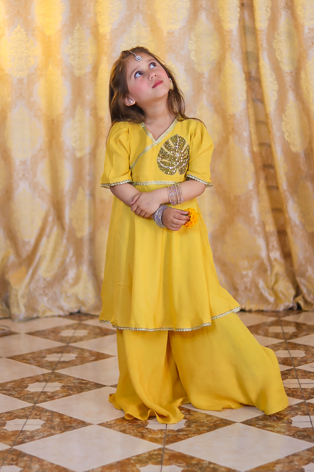 Zarish 2